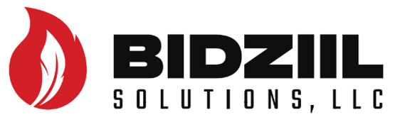 bidziil solutions
